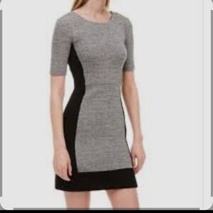 Elegant Gray and Black Women's Dress